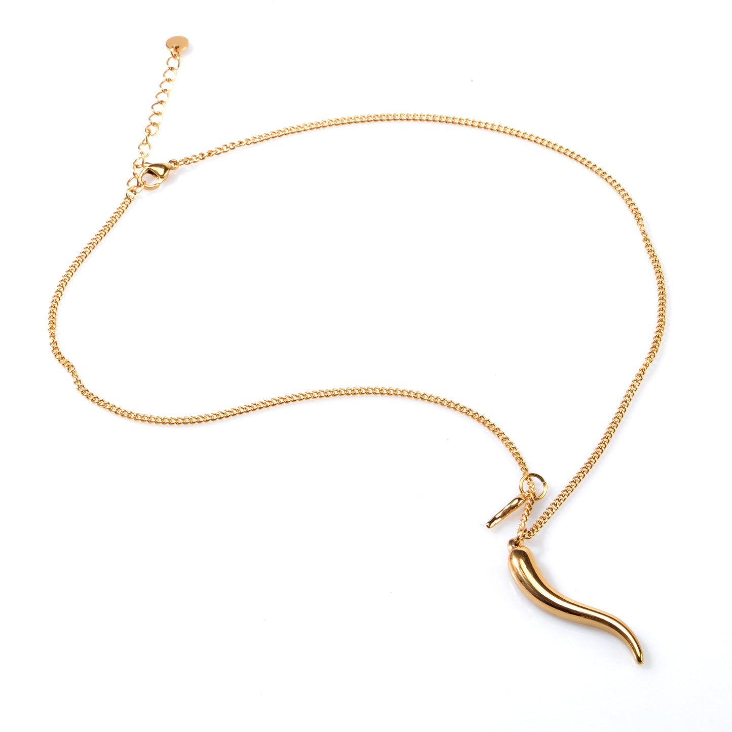 Oudisijewelry 316L Stainless steel Chilli Pendant Necklace