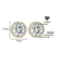 Classic 925 silver round cubic zirconia earrings, unisex style.