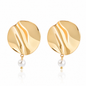 18K Gold-Plated Stainless Steel Lrregular Earrings